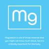 Magnesium Bisglycinate Powder 250g Nutriscript view 3
