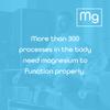 Magnesium Bisglycinate Powder 250g Nutriscript view 4
