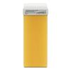 RESTASE | Liposoluble Depilatory Wax Roll On, Pine Resin and Beeswax, for All Skin Types, 12 x 100 ml, Made in Italy view 2