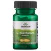 Swanson, L. Plantarum Probiotic, 10 Billion CFU, Bacterial Cultures, 30 Vegan Capsules, SOYA-Free, Gluten-Free, GMO-Free