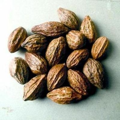 Whole Harde Terminalia Chebula/Haritaki/Black Myrobalan by Masala Cottage 25g-1.9kg (950, Grams)