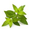 Flavour World Professional Powdered Food Flavouring 40g or 80g tubs with small dosing spoon included (80g, Peppermint) view 2