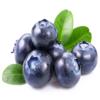 Flavour World Professional Powdered Food Flavouring 40g or 80g tubs with small dosing spoon included (80g, Blueberry) view 2