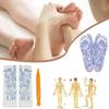 Serenity Steps Reflexology Socks Set,Reflexology Socks with Massage Tools,Acupressure Reflexology Foot Massage Socks,Pain Relief Acupuncture Socks,Soothing and Relaxing at Home (Women) view 3