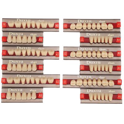 12pcs False Teeth Resin Denture Dental Material Synthetic Resin False Teeth for Replacement DIY Halloween Dentist Supplies