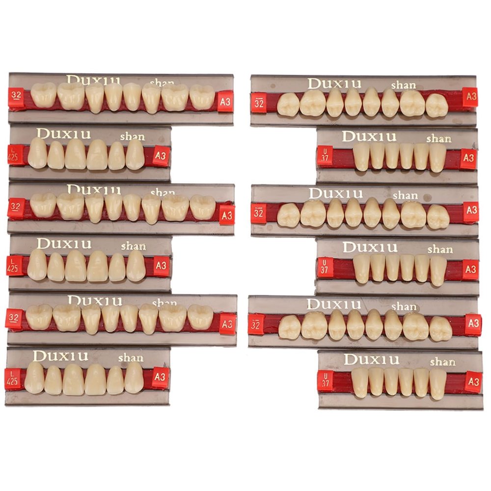 12pcs False Teeth Resin Denture Dental Material Synthetic Resin False Teeth for Replacement DIY Halloween Dentist Supplies