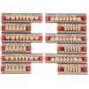12pcs False Teeth Resin Denture Dental Material Synthetic Resin False Teeth for Replacement DIY Halloween Dentist Supplies view 1