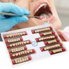 12pcs False Teeth Resin Denture Dental Material Synthetic Resin False Teeth for Replacement DIY Halloween Dentist Supplies view 2