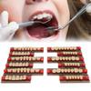 12pcs False Teeth Resin Denture Dental Material Synthetic Resin False Teeth for Replacement DIY Halloween Dentist Supplies view 3