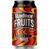 Radnor Hills Radnor Fruits Sparkling Orange & Mango - 24x330ml view 1