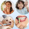 2 Pcs Interdental Toothbrush Single Tufted Toothbrush Soft Toothbrush Tufted Brush for Orthodontic Braces Detail Cleaning (Green/Sky Blue) view 4
