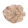 Ciieeo Wooden Coconut Shell Soap Holder Lovely Soap Dish Decorative Container for Bathroom Tray Lid Holder Drainage Self Draining view 1