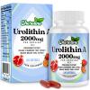 Urolithin A Supplement 2000mg - 120 Softgels 60-Day Supply - Enhanced with Pomegranate, Strawberry, and Walnut Extracts - for Mitochondria & Energy (120 Count (Pack of 1)) view 1
