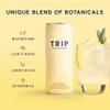 TRIP Blood Orange Sparkling Drink with 120MG calming Magnesium + Lions Mane + Chamomile + Lemon Balm. Low Calorie, No Added Sugar and Vegan (Pack of 12 x 250ml) view 3
