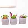 ABOOFAN Simulated Succulent Bonsai Pvc Plant Material Decor Whimsical Home Ornament Artificial Greenery Garland view 3