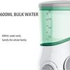 GeRRiT Water Flosser for Teeth, Dental Oral Irrigator with 6 Jet Tips, 600ML Water Tank, Non-Slip Base, Quiet Electric Flosser for Braces Care, Teeth Cleaner view 3