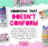 Counter Culture Kombucha Soda, Kombucha Soda, Loud Flavours & Low Calories, Probiotic Drink for Gut Health (24 x 330ml, Rhubarb & Hibiscus) view 3