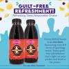 Florida Syrups Flavours Compatible with Sodastream Machines - Soda Drink Flavourings 500 ml (Pack of 2) (500 ml (Pack of 2), Ginger Beer Sugar Free) view 2