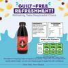 Florida Syrups Flavours Compatible with Sodastream Machines - Soda Drink Flavourings 500 ml (Pack of 2) (500 ml (Pack of 2), Ginger Beer Sugar Free) view 3