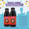 Florida Syrups Flavours Compatible with Sodastream Machines - Soda Drink Flavourings 500 ml (Pack of 2) (500 ml (Pack of 2), Ginger Beer) view 2