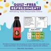 Florida Syrups Flavours Compatible with Sodastream Machines - Soda Drink Flavourings 500 ml (Pack of 2) (500 ml (Pack of 2), Ginger Beer) view 3