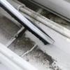 3Pcs Crevice Gap Cleaning Brush, Hard-Bristled Crevice Cleaning Brush, Dead Corners Brushes, for Bathroom Kitchen Tiles Window Slots view 4
