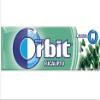 6 Packs Wrigley's Orbit Eucalyptus Sugar Free Chewing Gum Helps keep Teeth Clean And Mouth Fresh view 1