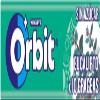6 Packs Wrigley's Orbit Eucalyptus Sugar Free Chewing Gum Helps keep Teeth Clean And Mouth Fresh view 3