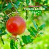 Alpha01 Organic Pomegranate Extract 20,000mg Vegan Capsules - High Strength 40:1 Punica Granatum Extract - 120 Capsules 4 Months Supply view 4