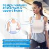 DOUQIFEI Sternum Support Brace, Breathable Sternum and Thorax Support Ribs Chest Brace Broken Rib Belt Chest Support Brace for Intercostal Muscle Strain for 50 to 60kgs Men Women view 3