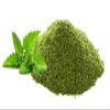CROW Mint Pudina Leaves Powder (  ) | 200gms Pudina On Sun Roof Dry Leaves view 1