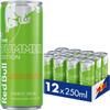 Red Bull Curuba Elderflower (Summer Edition) 12 x 250ml Cans view 2