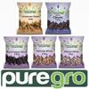 Puregro Authentic Gourmet Whole Spice Selection (Pack of 5) view 2