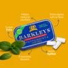 Barkleys Sugar Free Chewing Gum with Peppermint Gum 1 x 30 g view 3