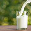 La Dorna Milk%1,5 Fat Milk 1000 Mililiter x 6 Boxes view 4