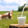 La Dorna Milk%1,5 Fat Milk 1000 Mililiter view 3