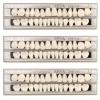 84Pcs Fake Teeth Dental Acrylic Resin Denture False Teeth Upper + Lower Temporary Crowns Replacement Kit Fake Tooth for Missing Loose Tooth Fill Large Gap Makeup Cosplay Horror Prop 3 Sets, 23 A2 view 1