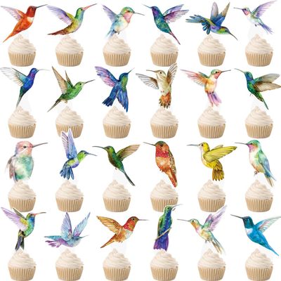 CANDY CHEF Hummingbird Cupcake Toppers, 48pcs/24 styles, Paper, for Birthday, Baby Shower, Spring Birds Party Decorations