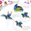 CANDY CHEF Hummingbird Cupcake Toppers, 48pcs/24 styles, Paper, for Birthday, Baby Shower, Spring Birds Party Decorations view 4
