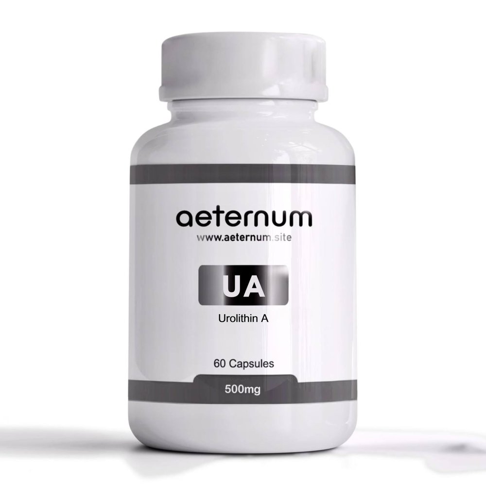 Aeternum Urolithin A Supplement - Pure Urolithin A Supports Energy, Muscle Strength, Mitochondrial Health - 500mg - 60 Capsules
