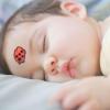 10Pcs Kids Thermometer Stickers Quick Read Forehead Thermometer Strips & for Infants Babies Kids Forehead Thermometer Strips for Kids Adults Baby Forehead Thermometer Strips view 2