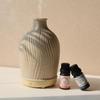BAILEYU Essential Oil Diffuser 80ML Mini Ultrasonic Cool Mist Humidifier Resin Aromatherapy Diffuser with Waterless Auto-Off Function for Home Office Room view 3