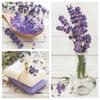Maki 3-Ply Tissue Paper Napkins Serviettes for Decoupage Lunch 33cm x 33cm - Pack of 20 (Lavender Spa Squares) view 2