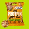The Protein Ball Co Salted Caramel Plant Protein Balls - Vegan Snack, Healthy Snacks, Gluten-Free, No Added Sugar - On-the-Go Energy Balls, Box of 10 Bags view 3