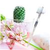 Didiseaon 2pcs Double Headed Toothbrush Denture Cleaning Brush False Teeth Cleaner for Travel view 4