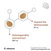 Ashwagandha High Strength - KSM-66 - Min. 5000mg Pure Ashwagandha from 500mg Extract (10-15:1), 5% Withanolide, 90 Vegan Capsules for 3 Months with Ashwagandha Root Extract, Highly Bioavailable view 3