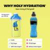 HOLY Hydration Pear | 50 portions with Valuable Electrolytes & Minerals | Hydration Drink | Vegan with 100% Natural Fruit Flavours (350g) view 4
