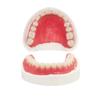 Generic Fake Teeth-Do It Yourself Denture-Top and Bottom Temporary Teeth, Easy and Convenient, Common to All situations view 1