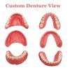 Generic Fake Teeth-Do It Yourself Denture-Top and Bottom Temporary Teeth, Easy and Convenient, Common to All situations view 3
