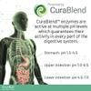 CURA NUTRITION CURAZYME Tolerance (30 Capsules) Food Intolerance Digestive Enzymes Supplement for Gut Health Support, Broad Spectrum Enzyme Complex for Bloating, Heartburn, Digestion Relief, Vegan view 4